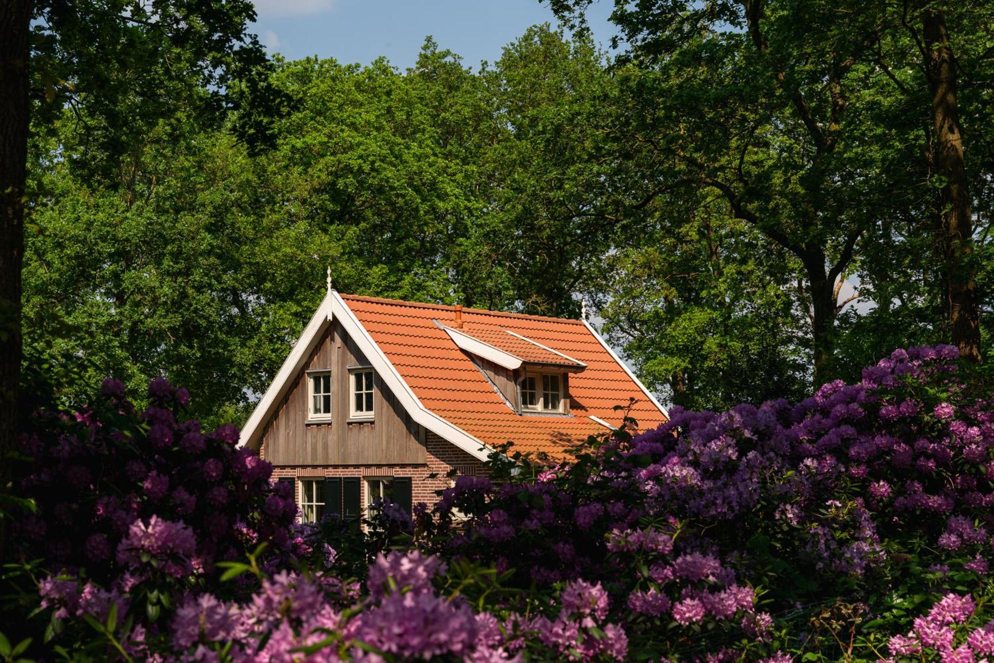 De Bosuil Villa Hoge-Hexel Buitenkant foto