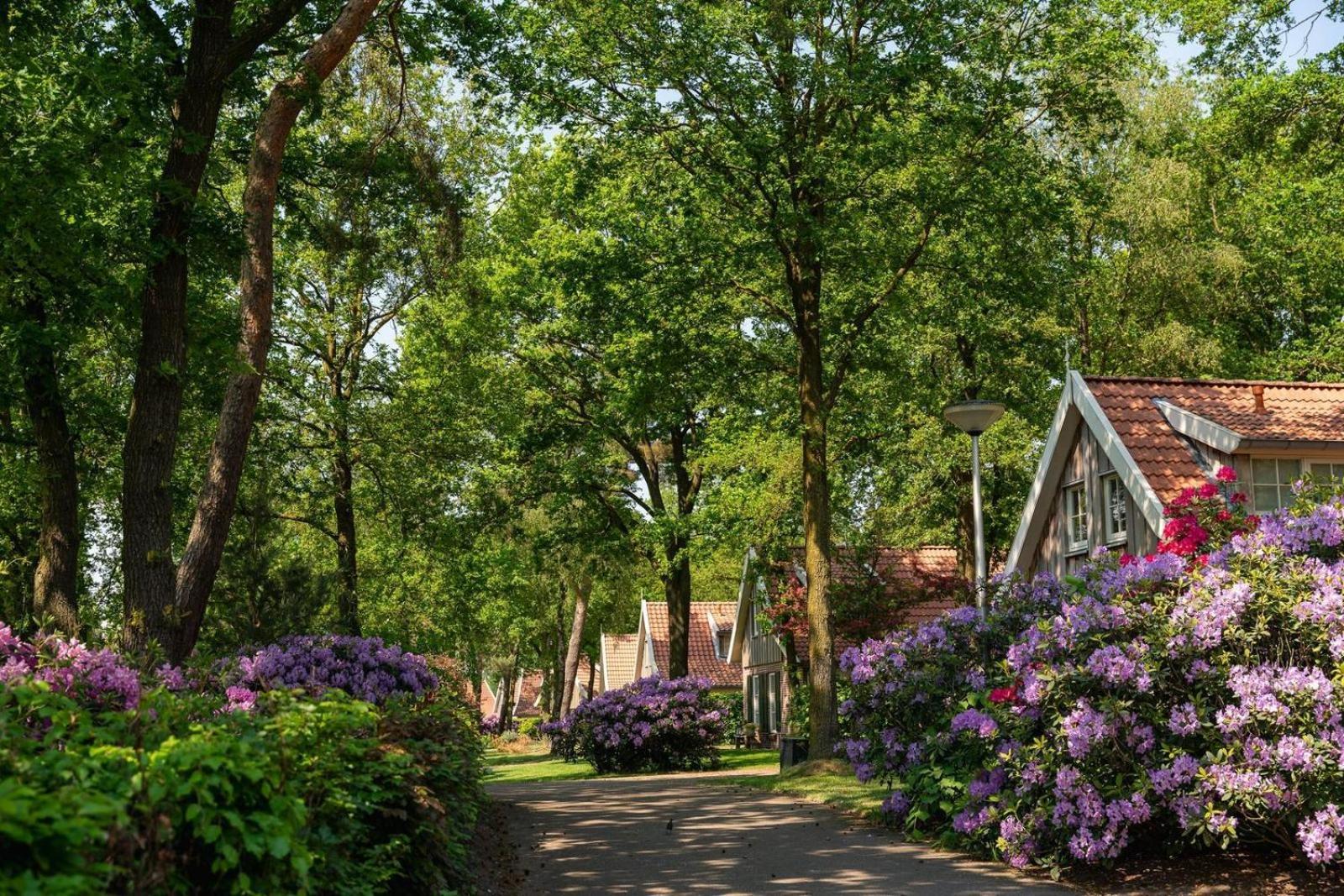 De Bosuil Villa Hoge-Hexel Buitenkant foto