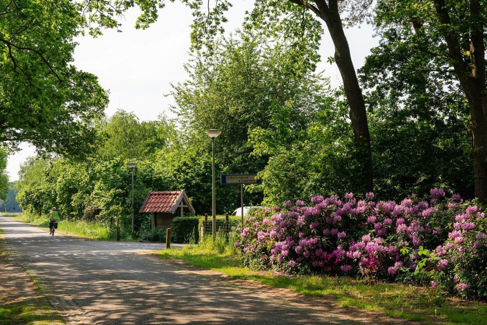 De Bosuil Villa Hoge-Hexel Buitenkant foto